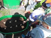 Zahrádka ve školce